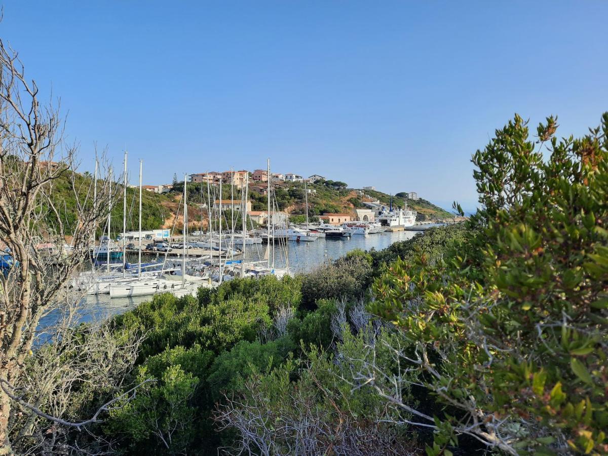 Villa La Filetta Alisei Santa Teresa Gallura Exterior foto